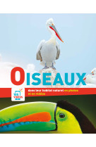 En photos et en videos - oiseaux