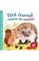 Petit écureuil ramasse des noisettes