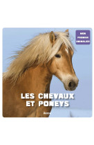 Mon premier animalier - les chevaux et les poneys