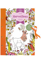 Mon carton a coloriages - merveilleux