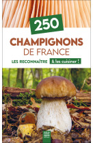 250 champignons de france