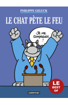 Le chat pète le feu