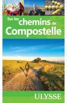 Sur les chemins de compostelle