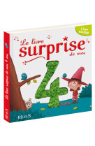 Livre surprise de mes 4 ans (le)