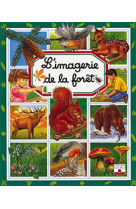 L'imagerie de la forêt