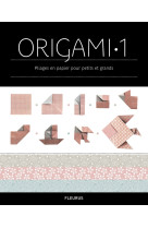 Origami 1