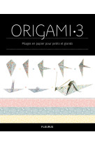 Origami 3