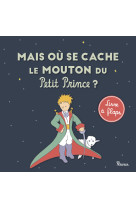 Mais où se cache le mouton du petit prince ?