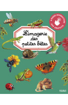 L'imagerie des petites bêtes (interactive)