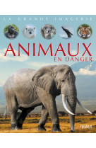 Animaux en danger