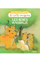 Les bébés animaux