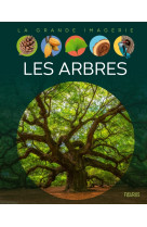 Les arbres