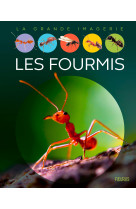 Les fourmis