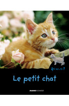 Le petit chat