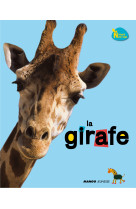 La girafe