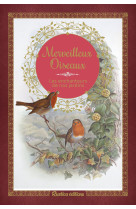 Merveilleux oiseaux