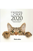 L'agenda du chat 2020