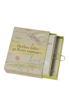 Herbes folles et fleurs sauvages