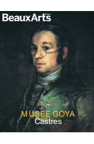 Musée goya - castres