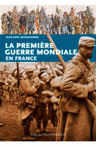 La première guerre mondiale en france