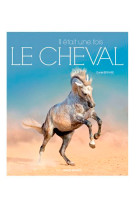 Il était une fois le cheval