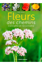 Fleurs des chemins