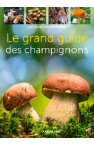 Le grand guide des champignons