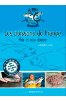 Bible illustrée des poissons de france, mer et eau douce