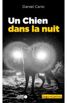 Un chien dans la nuit