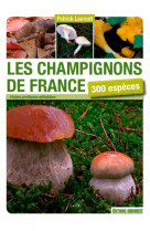 Champignons de france