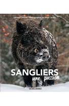 Sanglier, une passion