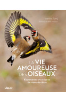 La vie amoureuse des oiseaux - etonnantes stratégies de reproduction