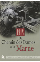 1918 du chemin des dames a la marne offensive allemande et