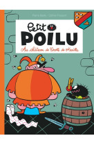 Petit poilu - tome 13 - au château de crotte de maille