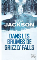 Dans les brumes de grizzly falls