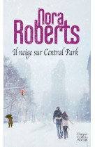 Il neige sur central park