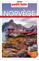 Guide norvège 2024 carnet petit futé