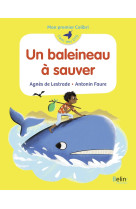 Un baleineau à sauver