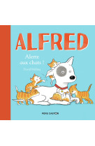 Alfred - alerte aux chats !