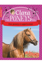 Clara et les poneys