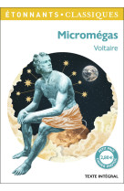 Micromégas