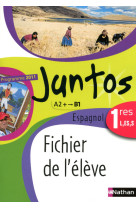 Juntos 1re l, es, s 2011 - fichier élève