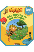 Cahier d'activites maya decouverte du monde gs