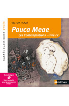 Pauca meae - victor hugo - numéro 77