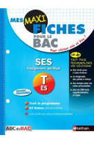 Mes maxi fiches abc ses terminale es n14