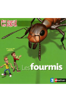 Fourmis