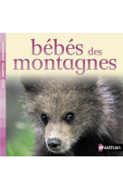 Bebes des montagnes