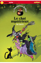 Chat mysterieux