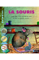 Souris