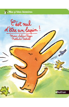 C'est nul d'etre un lapin!